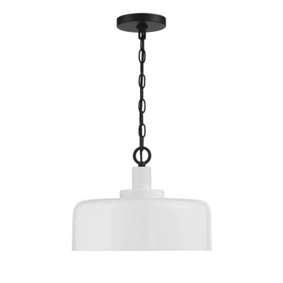 Luminaire suspendu en dome à 1 lumière
