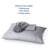 Essential Collection Cooling Rayon Derived from Bamboo Sheet Set-106012010-110219952