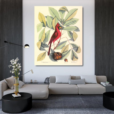 Oiseau et hiccory