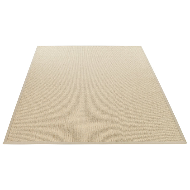 Goffe Natural Wool & Sisal Solid Color Rug, Rectangle 4' x 6'