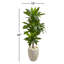 Silvie 48'' Faux Foliage Plant in Ceramic Planter