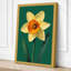 Daffodil Study Botanical - Wrapped Canvas-570533591-570533595