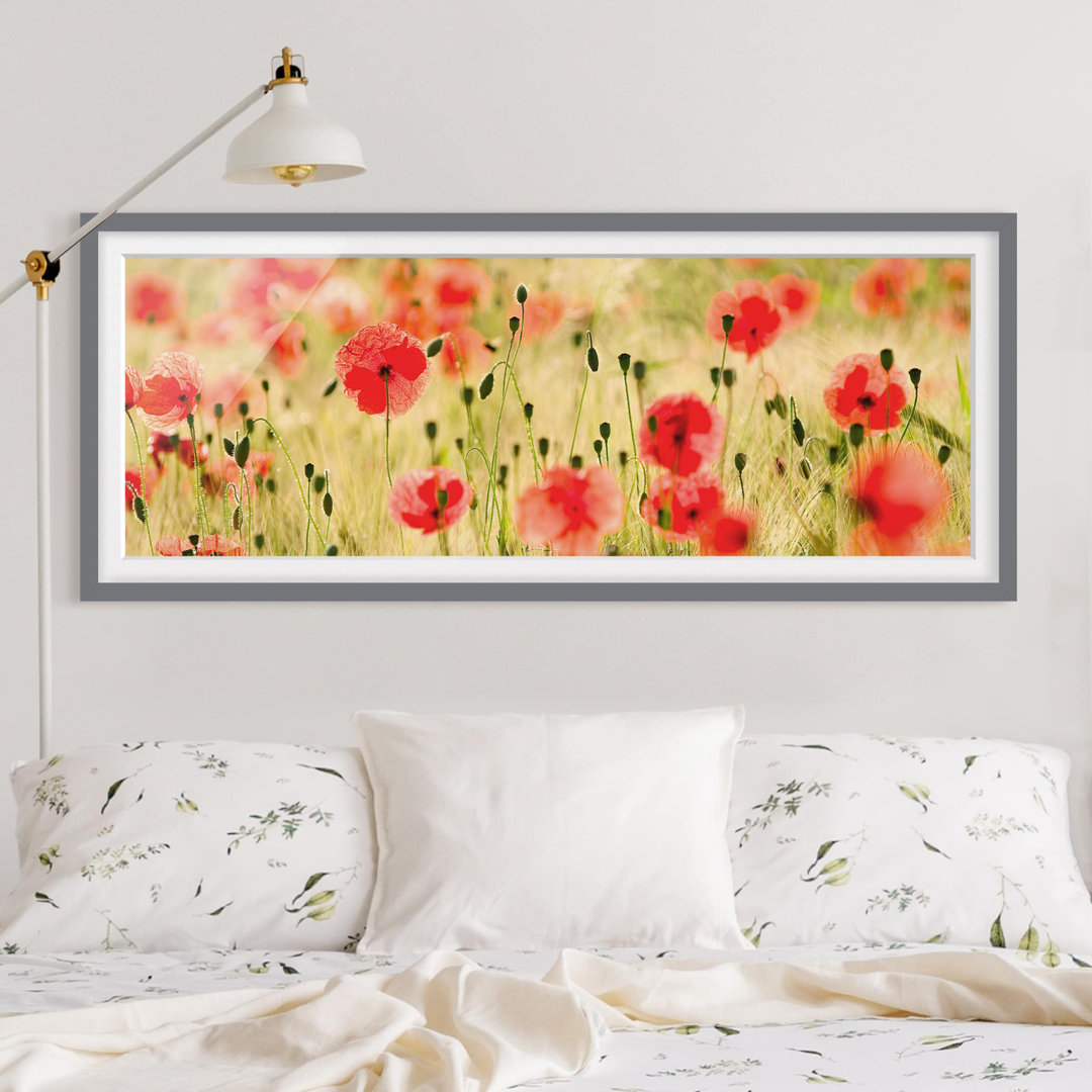 Gerahmtes Poster Summer Poppies