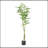 160CM ARTIFICIAL PACHIRA MACROCARPA-141623884
