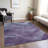 Machine Washable Indoor/Outdoor Cinead ACN1700 Purple Rug-104611298