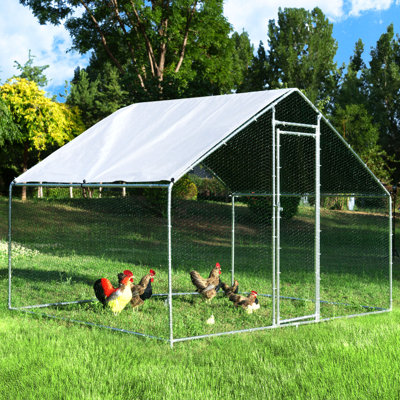 Chicken Coop