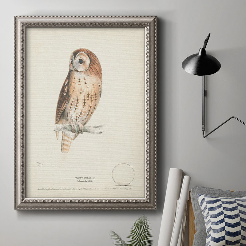Tawny Owl - reproduction de cadre photo sur toile, H 20 po x l 16 po x P 2,5 po