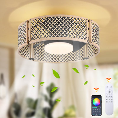 Ceiling Fan with LED Lights