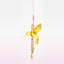 Ensemble d’ornement 6 pièces hummingbird Pompey