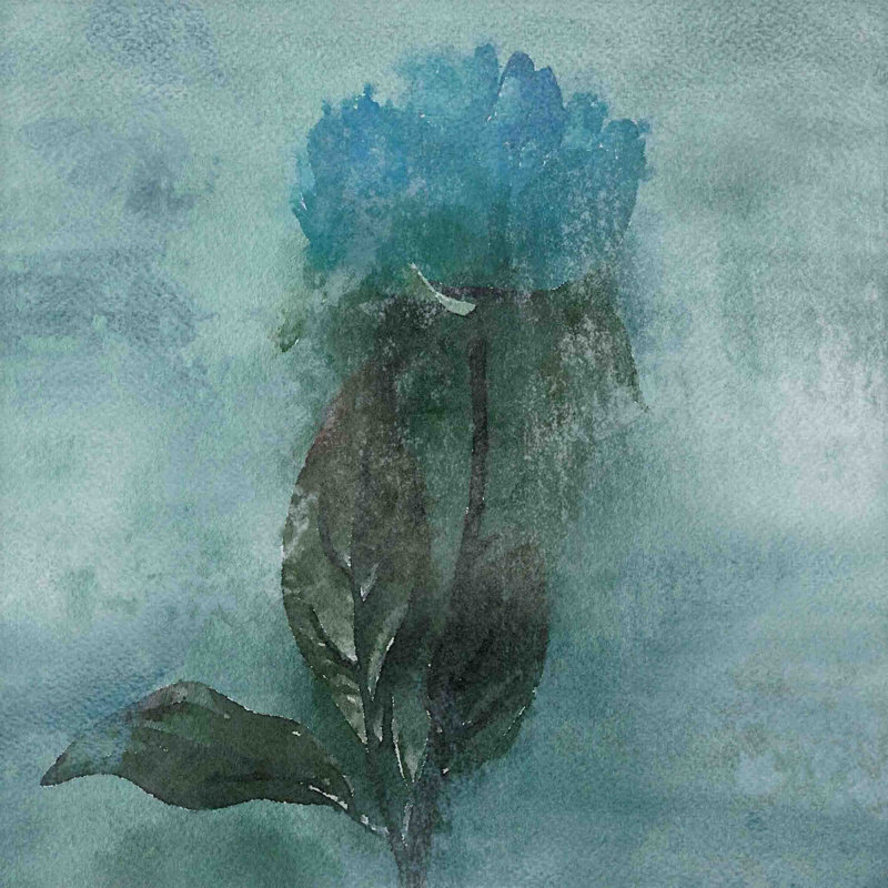 24" x 24" Blue Floral Canvas Print