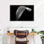 Lys Calla monochrome-810851423