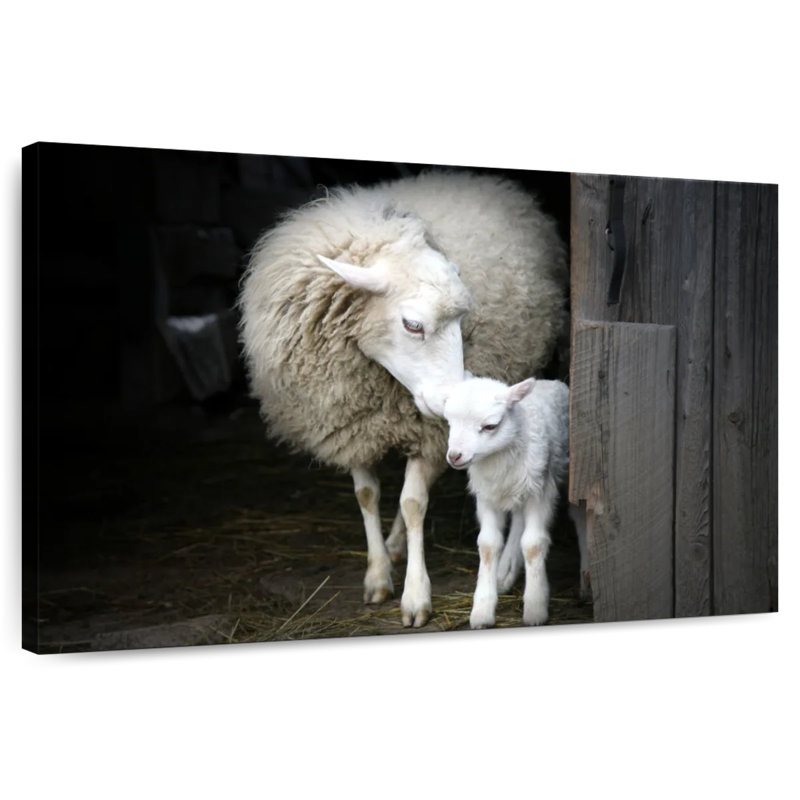 Brampt Maternal Sheep, 16" H x 24" W