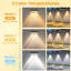 Solar Landscape Lamp - Warm Light Led Lighting For Lawns And Walkways