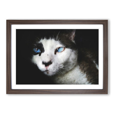 Portrait of a Cat Vol.10 - Framed Print