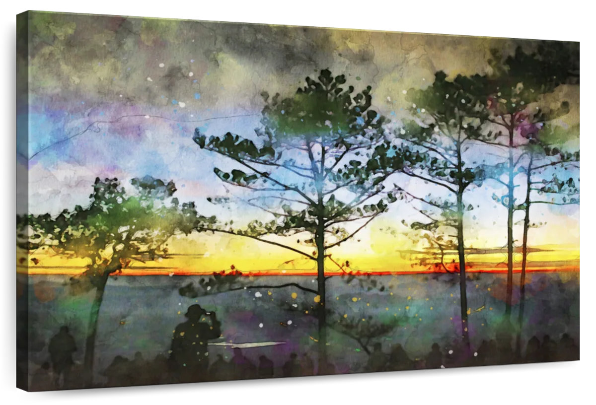 Millwood Pines Alvord Blazing Sunset Trees | Wayfair