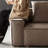 Coffee 100% Polyester Modular Sofa cushion couch-108607844-108607847