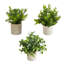 8 po Mini plante artificielle en pot - ensemble de 3