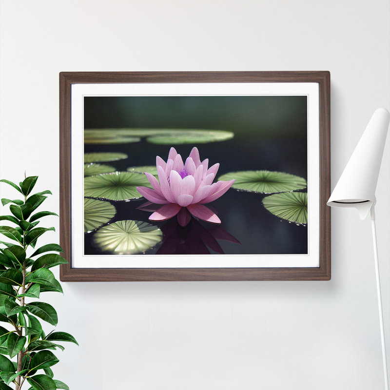 Expressive Water Lily Flower - Single Picture Frame Print, 25cm H x 34cm W x 2cm D, Walnut