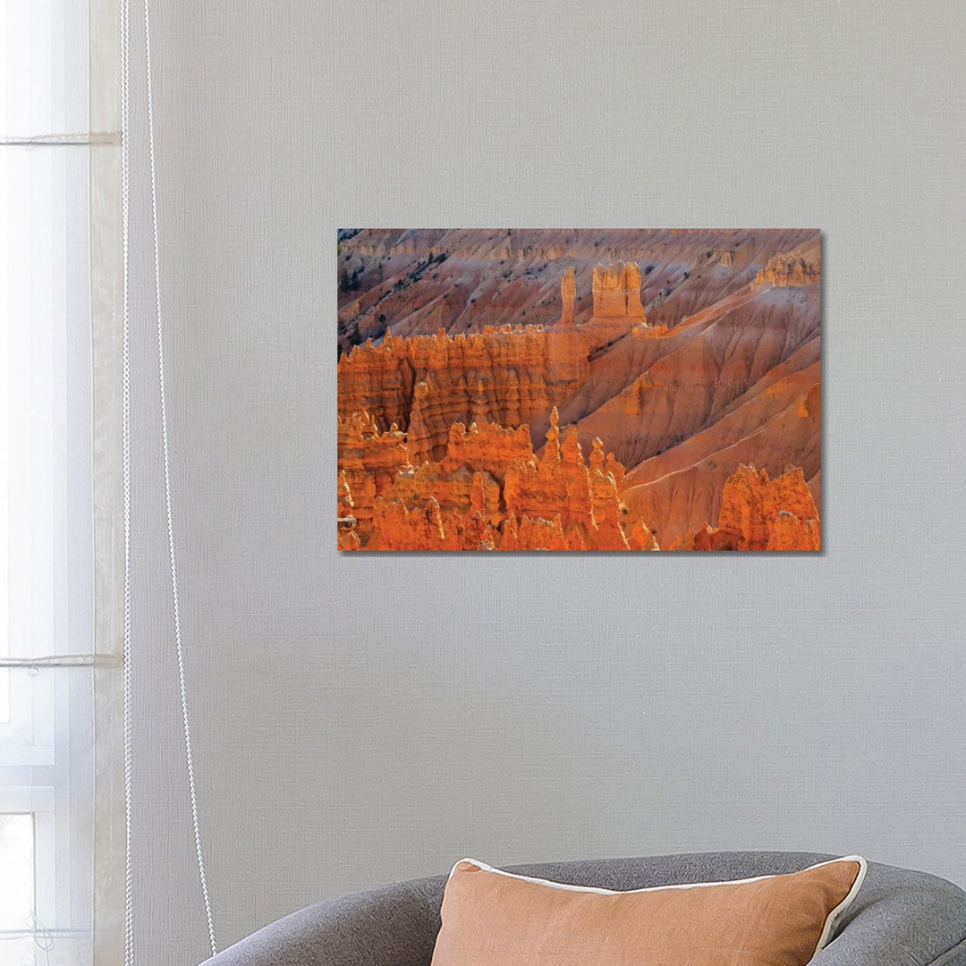 Utah, Bryce Canyon National Park. View Of Canyon With Hoodoos by Jamie & Judy Wild - Wrapped Canvas Painting