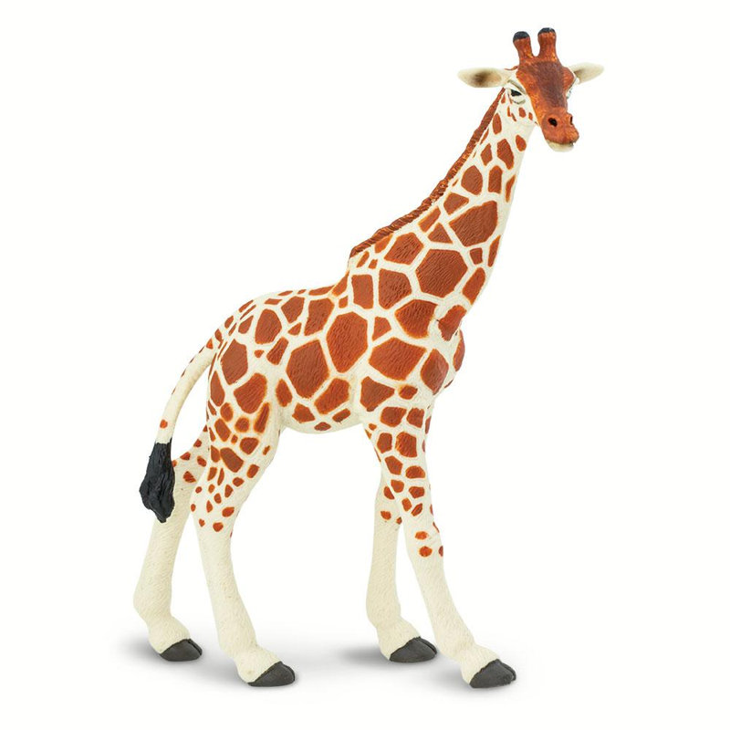 Girafe réticulée