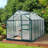 Aaliegha 6 Ft W x 10 Ft D Greenhouse