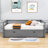 Demoraes Twin Size Wood Daybed with Trundle-1941296451