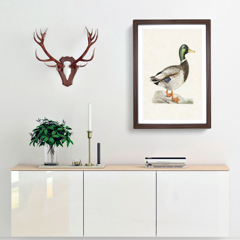 Male Mallard Duck by Von Wright - Picture Frame Art Print, 76cm H x 50cm W x 2cm D, Walnut