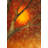 Rustic Lodge 1 - Light Antique Copper Single Pendant