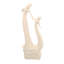 Chinook MOTHERS LOVE 82cm Cream