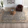 Gorsuch Oriental Indoor Rug
