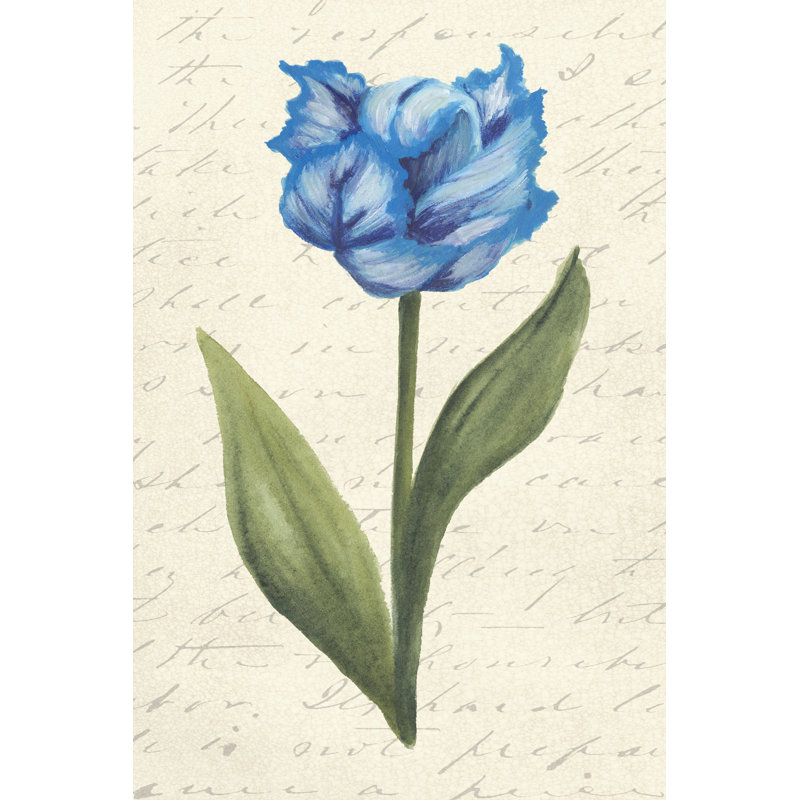 Twin Tulips IV by Grace Popp - Wrapped Canvas Painting, 46cm H x 30cm W x 3.8cm D