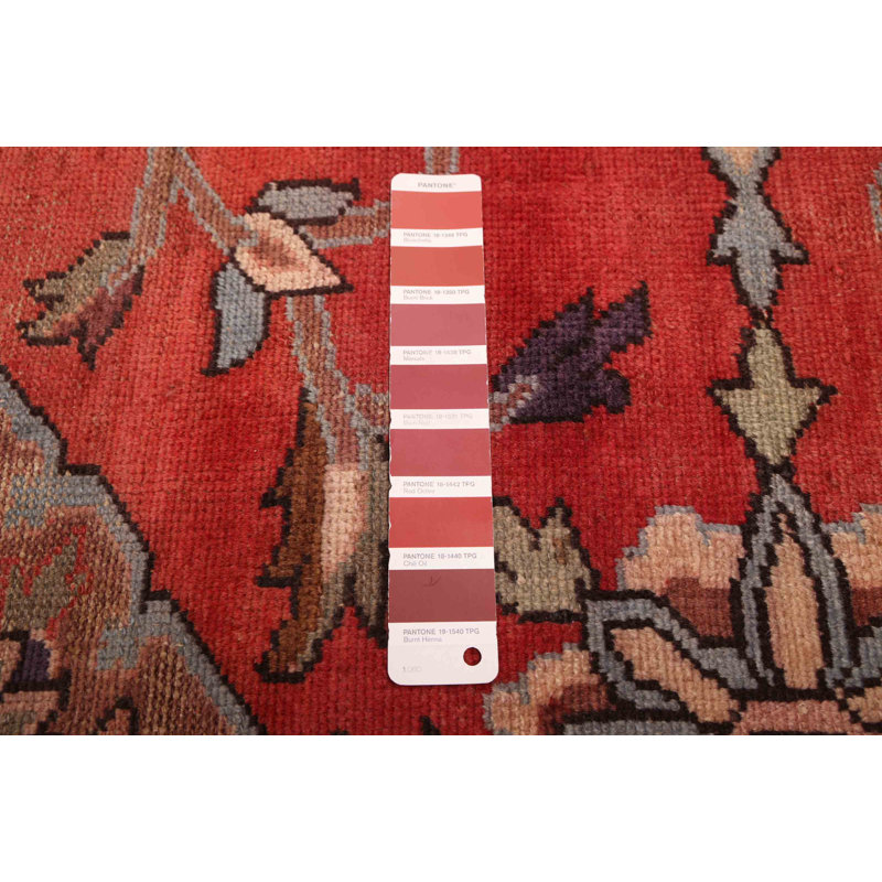 Tapis rouge Andelz 5 pi 3 po x 9 pi 4 po