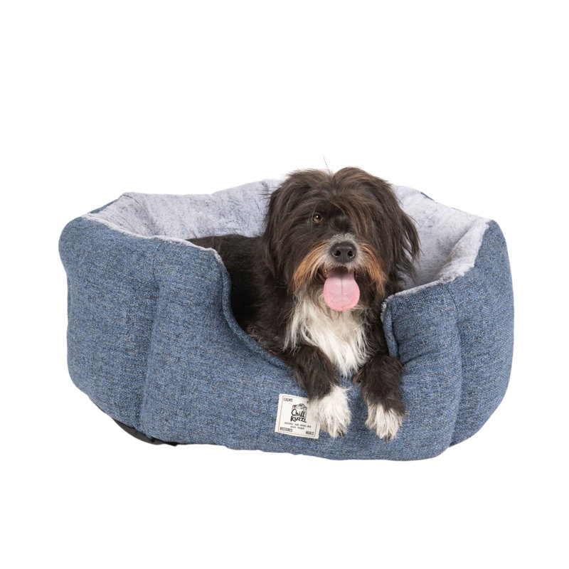 Grand lit rond à motif de sapin Chill Kpi de DGS Pet Products - bleu 36 po x 36 po x 15 po, H 12 po x l 23 po x P 23 po, Bleu