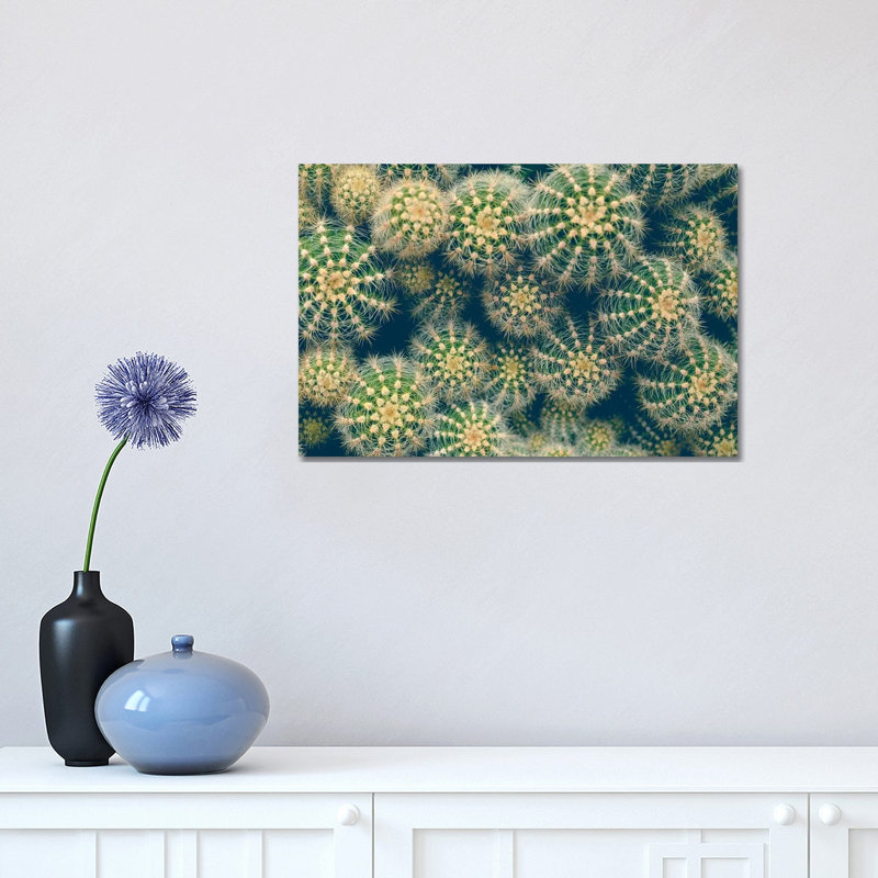 Cactus 1 Piece Wrapped Canvas Wall Art, 30.48 cm H x 45.72 cm W