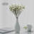 Baby's Breath Arrangement