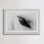 " Trusting Eye " by Marmont Hill