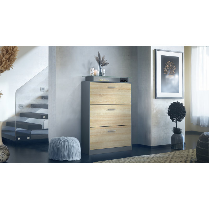24 Pair Shoe Storage Cabinet, Anthracite/Oak