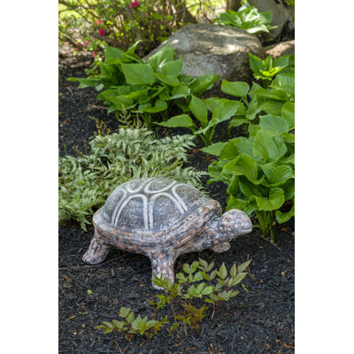 Ceramic Solid Back Tortuga