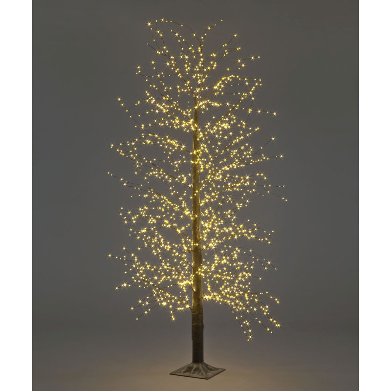 Angielina Indoor / Outdoor Lighted Trees & Branches