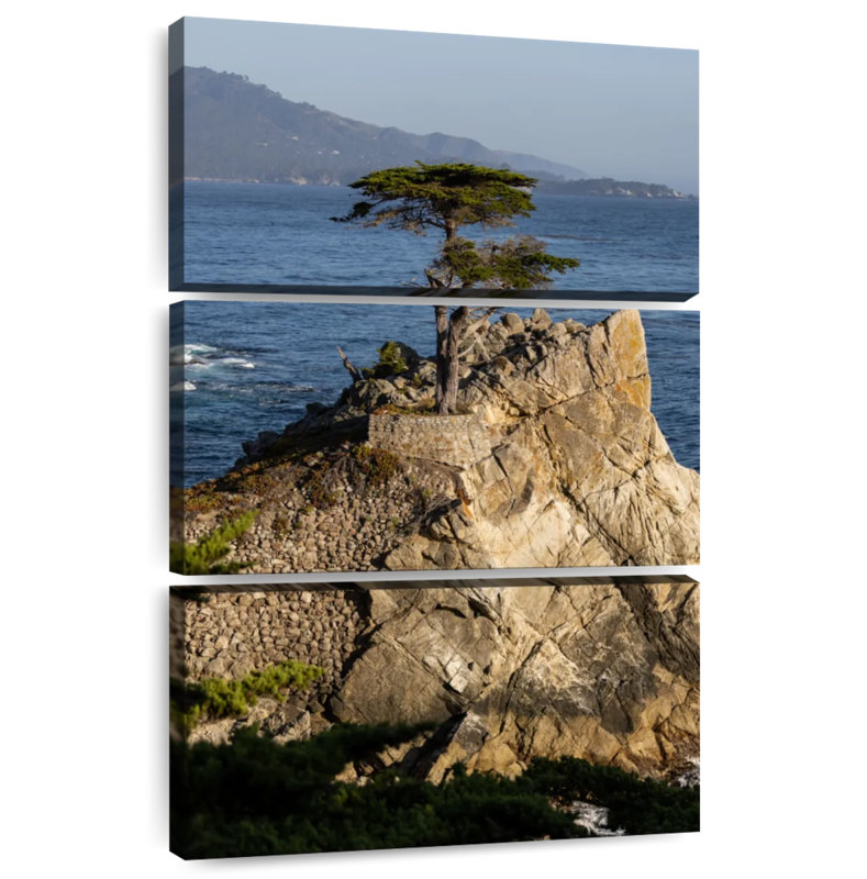 Arbre Harnek Pebble Beach Resort, H 32 po x l 20 po