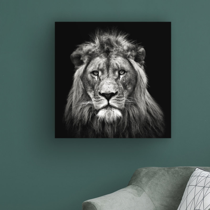 «Young Young Lion» par Christian Meermann - reproduction de photo sur toile tendue, H 14 po x l 14 po x P 2 po