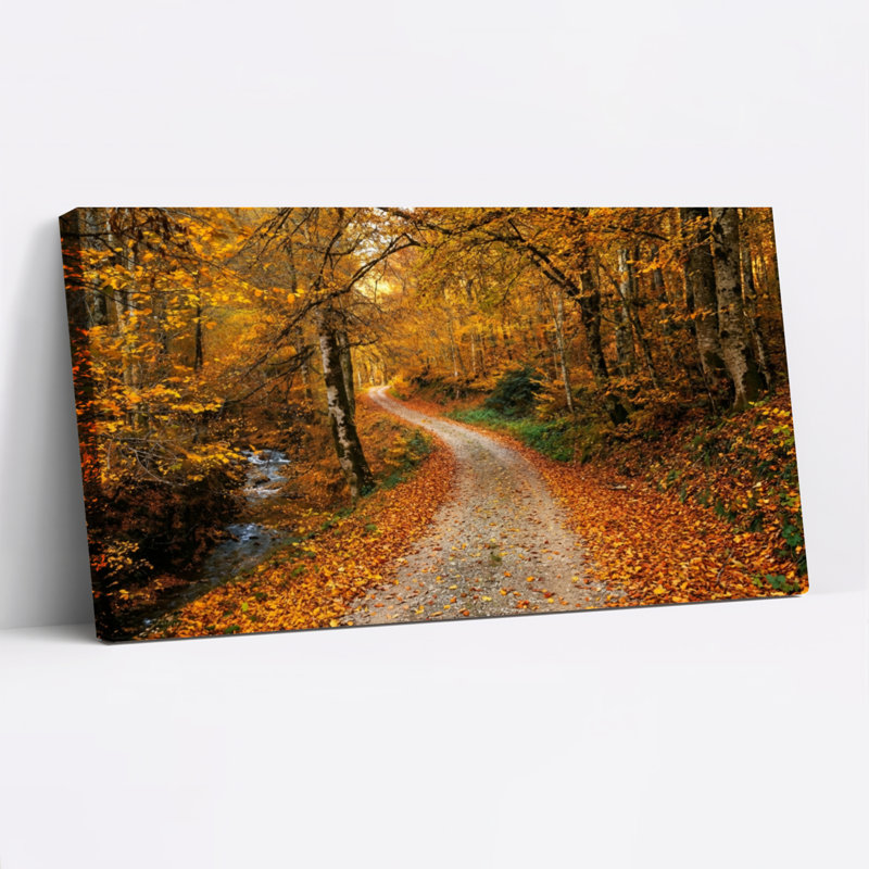 Ensemble de 1 tableau sur toile tendue représentant un chemin forestier d'automne, H 16 po x l 32 po