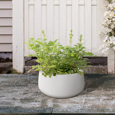 Pot à fleurs en béton Dovenby