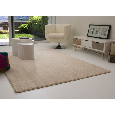 Cardero Solid Colour Area Rug