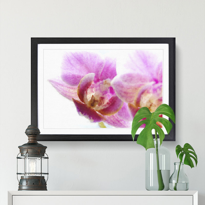 A Pink Orchid Flower - Picture Frame Photograph Print, 62cm H x 87cm W x 2cm D, Black Framed