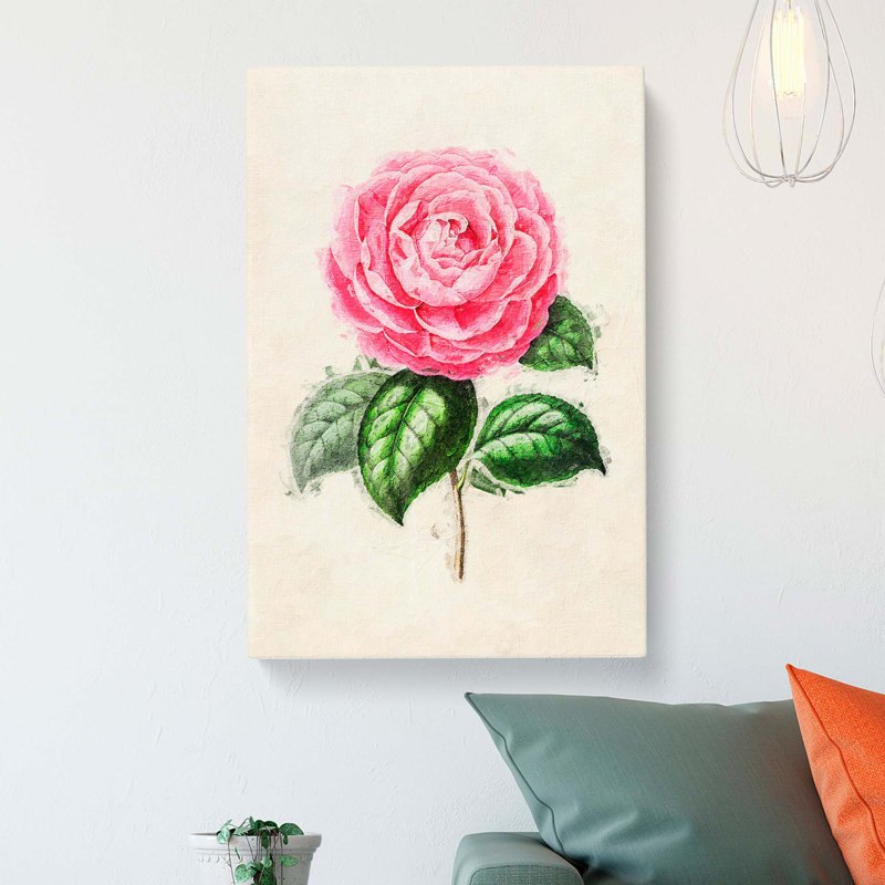 Illustration of a Pink Garden Rose - Wrapped Canvas, 50cm H x 35cm W x 3cm D