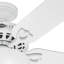 Ventilateur de plafond à 5 pales de 52 po avec chaînette et ensemble d'éclairage inclus Astoria-12031327