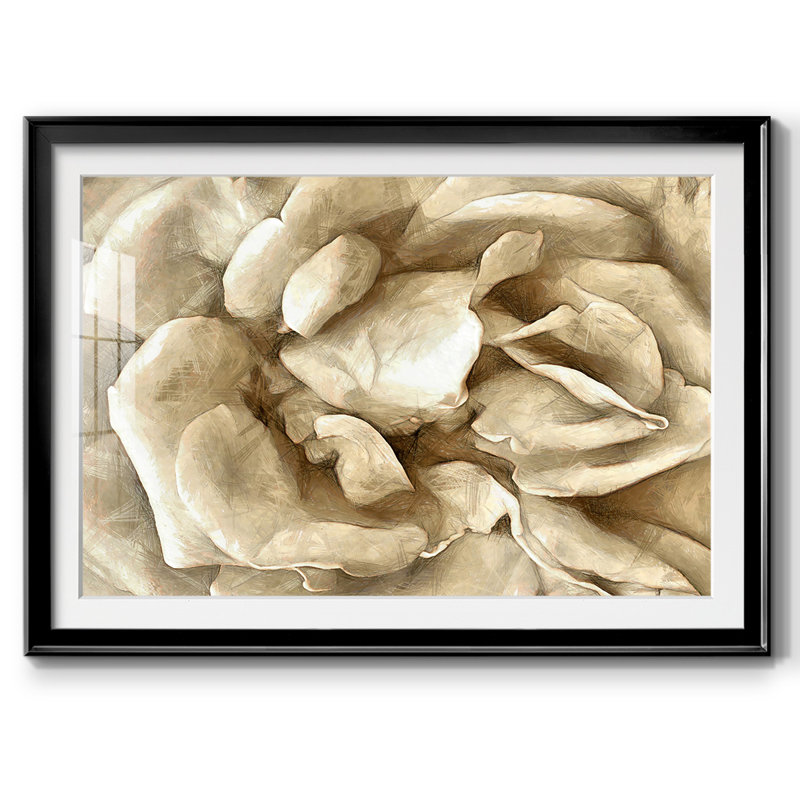 Neutral Wall Flower II, reproduction d'art encadrée, Noir, H 19 po x l 27 po x P 1,5 po