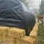 Customer photo 2 of 3
