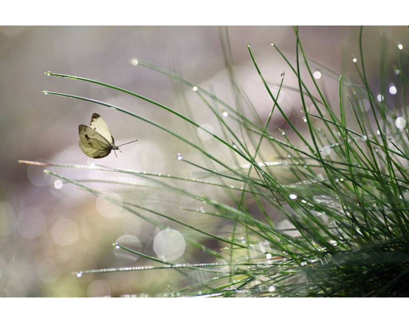 Wrapped Canvas Print, 91.44 cm H x 60.96 cm W